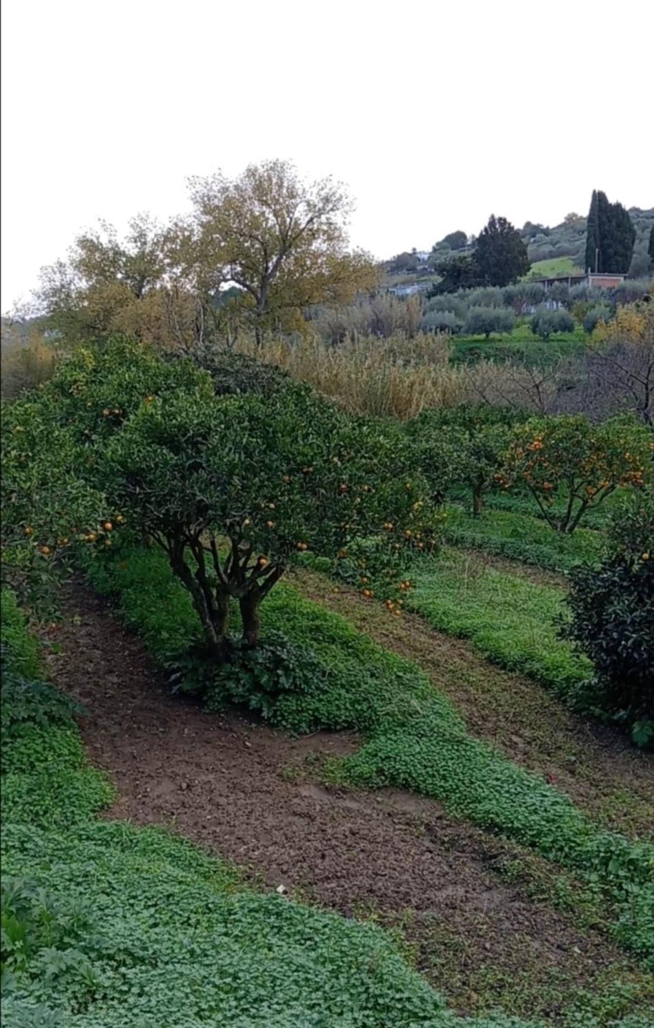 Casa Gelferraro Holiday home Calatafimi